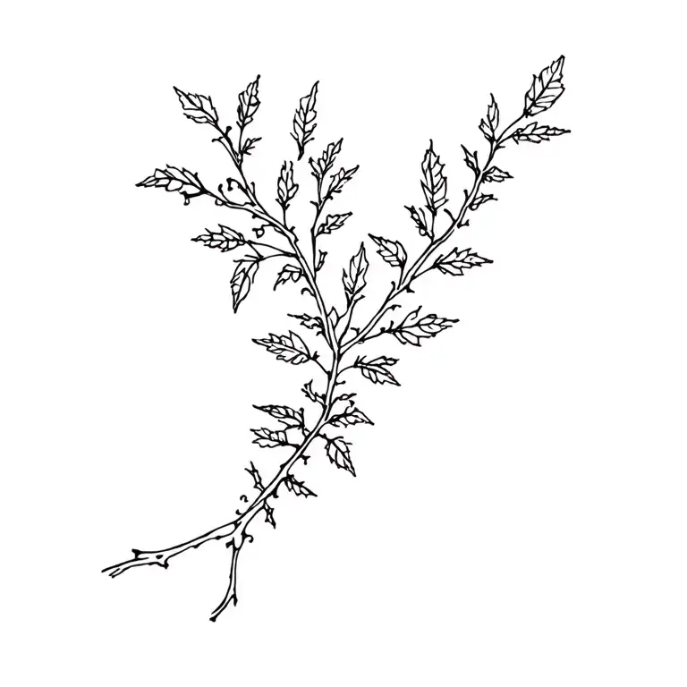 Bramble Bushes With Leaves And Thorns