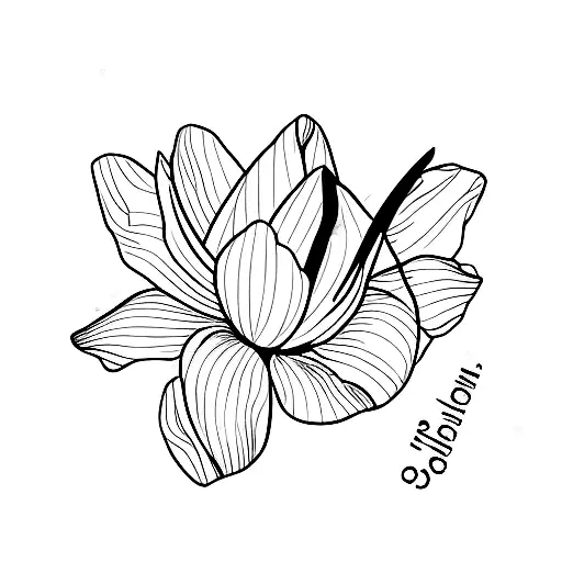 Single Daffodil With Script On The Stem