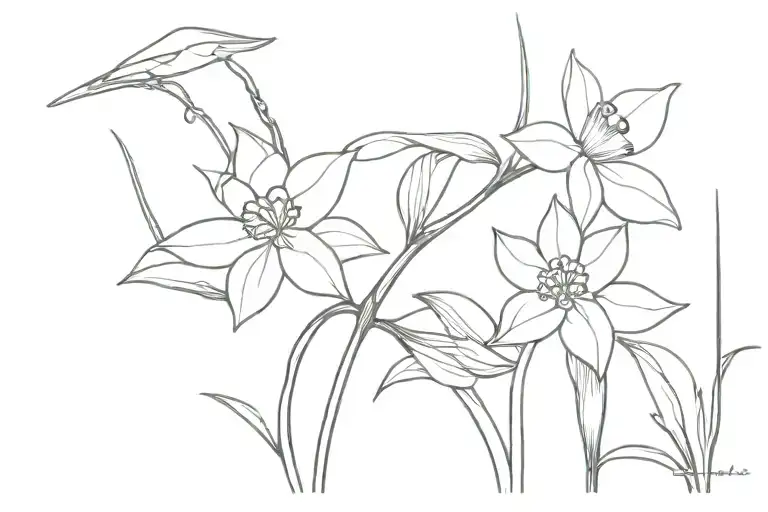 Narcissus And Cardinal