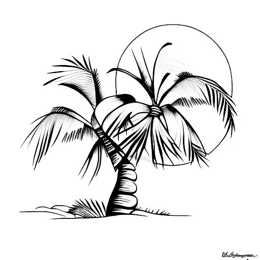 Moon And Palm Tree