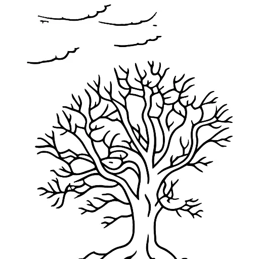 Plane Tree With River