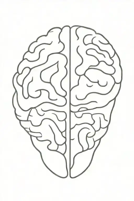 Fine Line Of A Brain Cross Sectioned