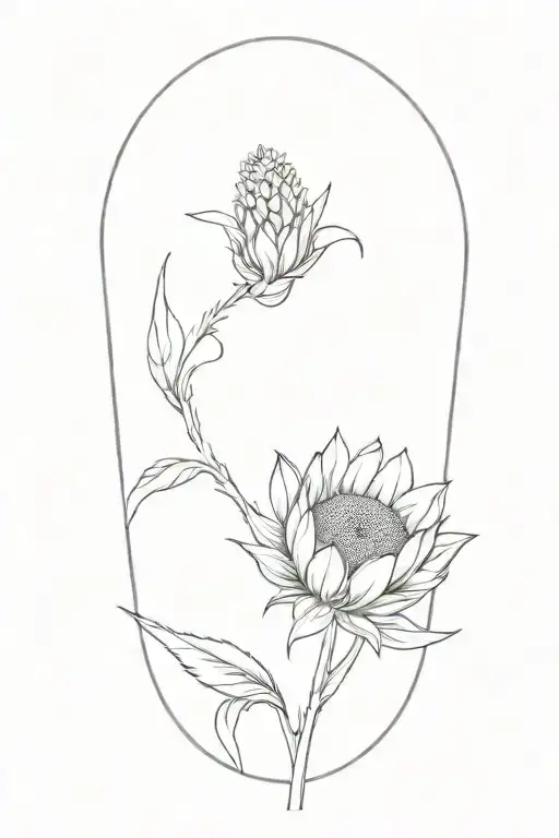 Wheat Sunflower Kansas