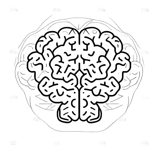 A Brain With Two Different Styles One Messy And One Sad Black And White Line Drawing