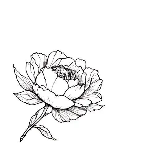 Peony With Stem And Date In Sting