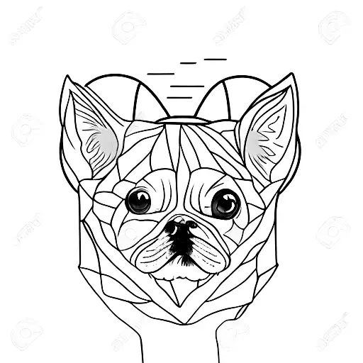 Small Beige Dog With Darker Triangle Droopy Ears