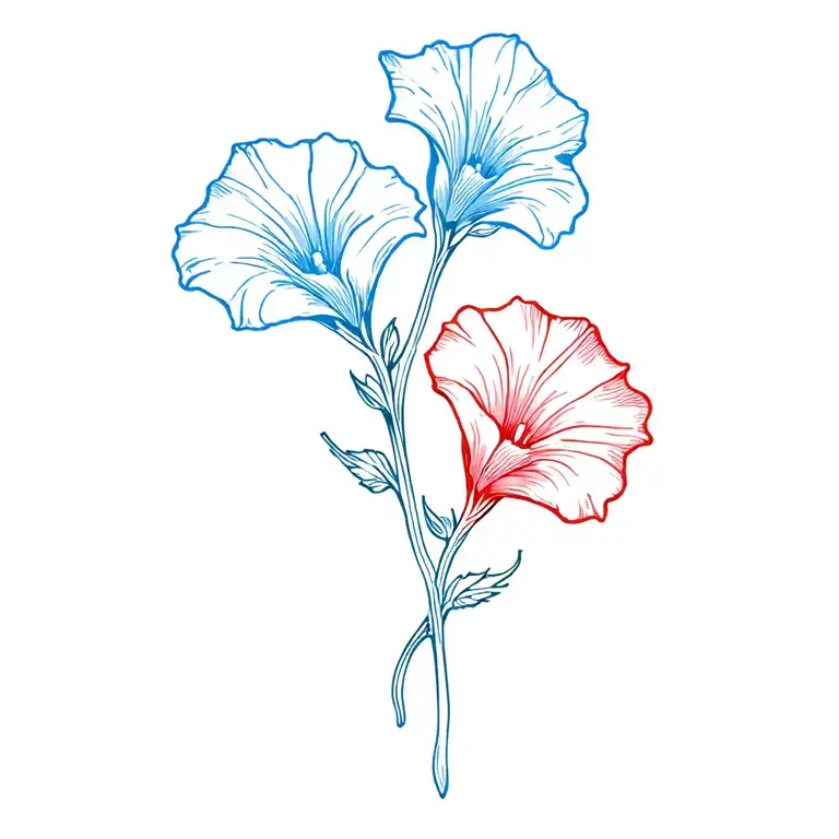 One Light Blue And One Red Morning Glory Flower With Stems Overlapping