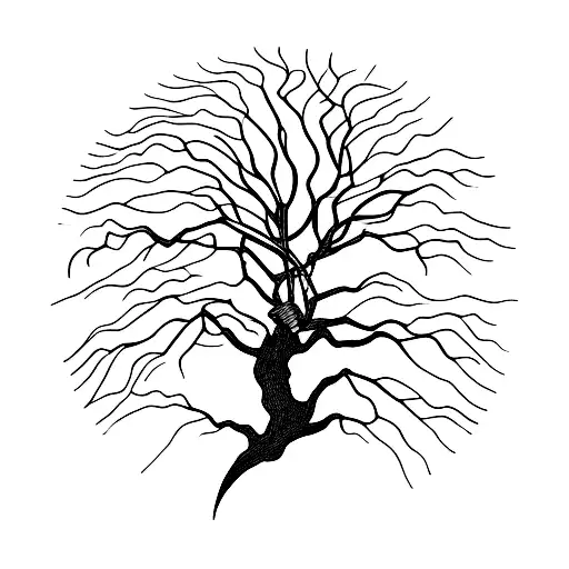 Willow Tree With Eye