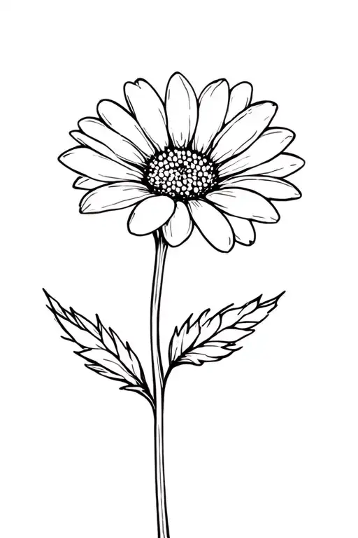 Daisy Flower Sweat Pea Flower