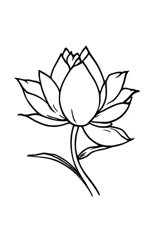 Little Lotus Flower Blooming