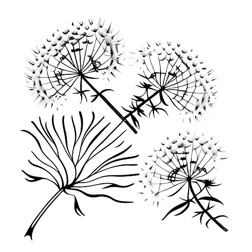 Dandelion Plant And Flower