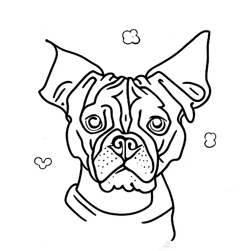 Boxer Dog On A Three