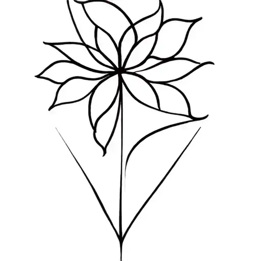 Thin Lines Only Use Black