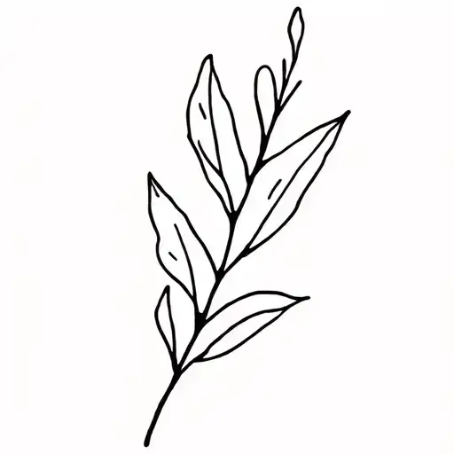 Branch With Little Bay Leaf
