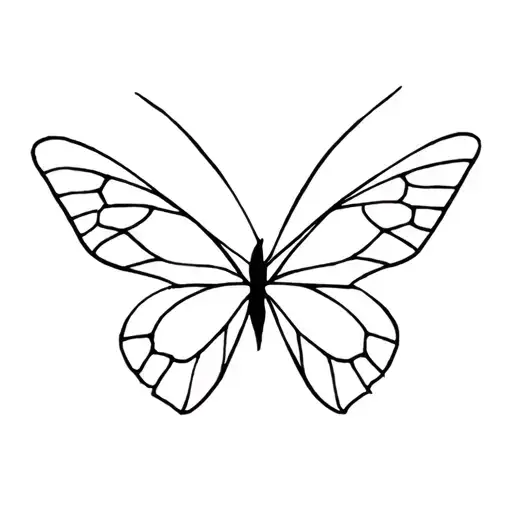 Papillon Fine Line