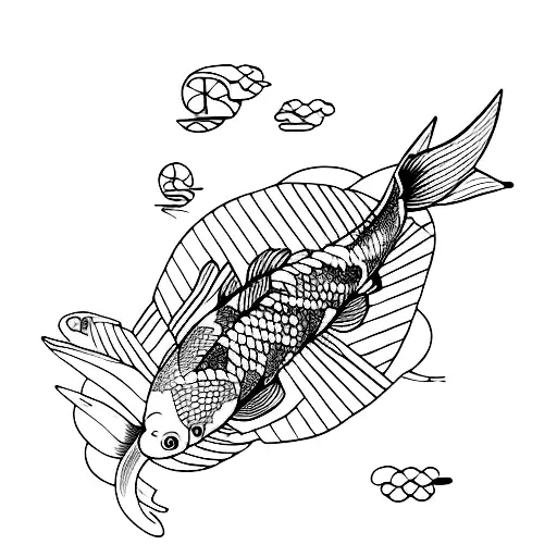 Koi Airplane