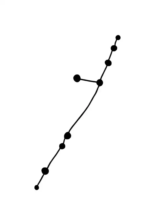 Gemini Constellation