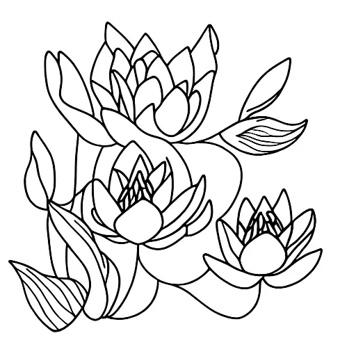 Pink Water Lily With A Green Stem