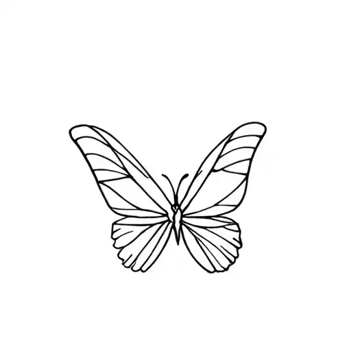 Color Butterfly Like Child Draw