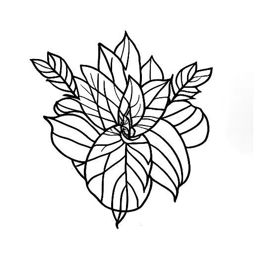 3 Plants Growing Fine Line