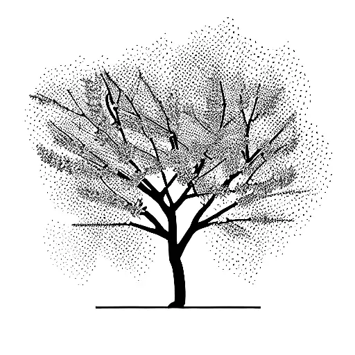 Masculine Cherry Blossom Tree With Petals Falling Off