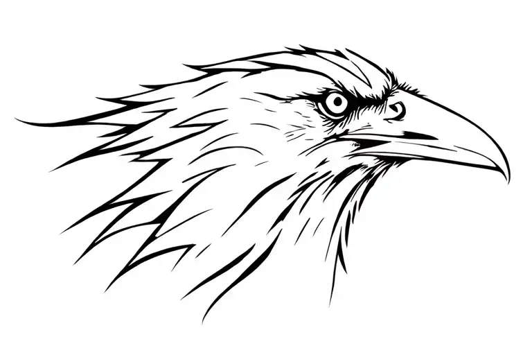 Profile Of A Crows Head In The Darkness