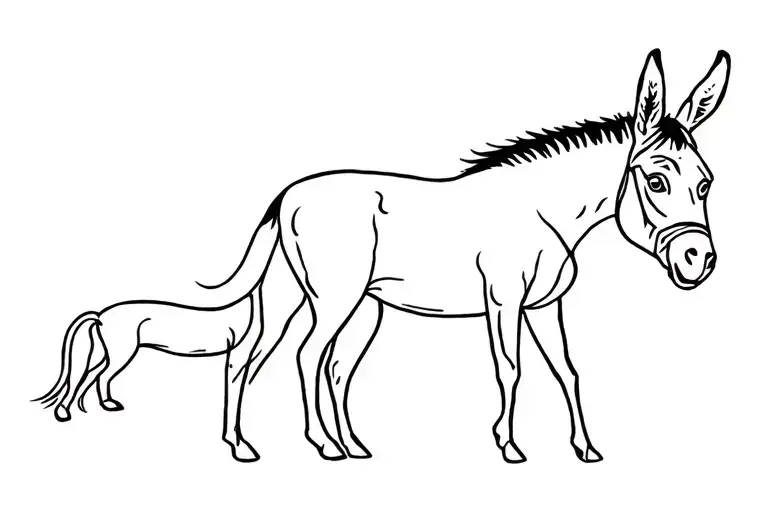 Donkey And Dog
