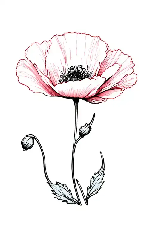 Poppy Flower