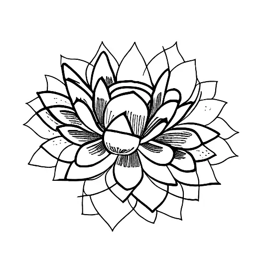 Lotus Flower