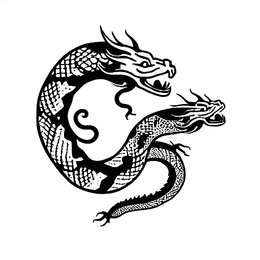 Dragon And Snake