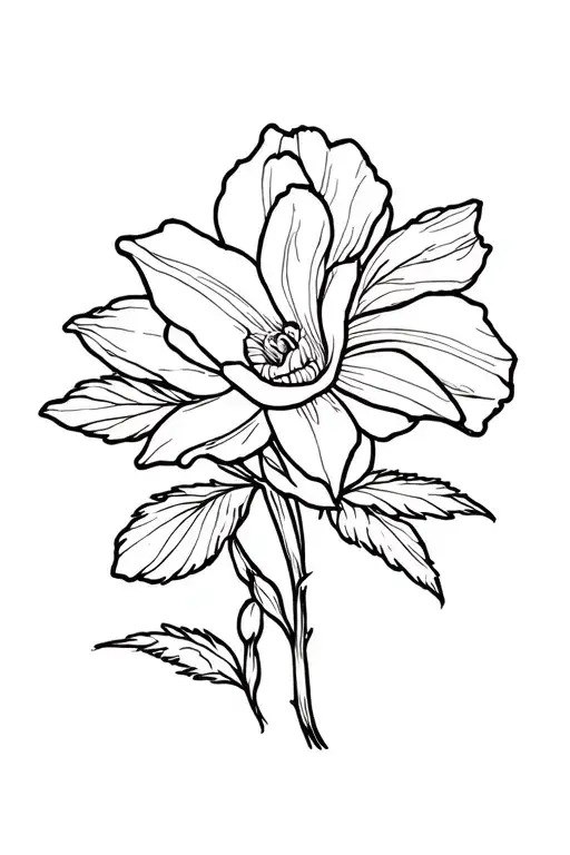 Rose Daffodil Honeysuckle