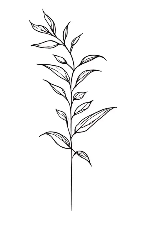 Plant And Line