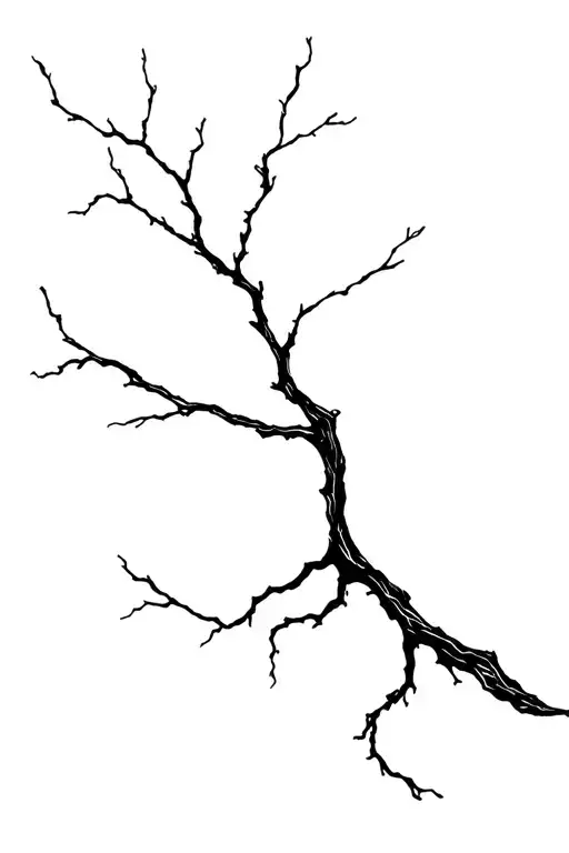 Creepy Tree Branch