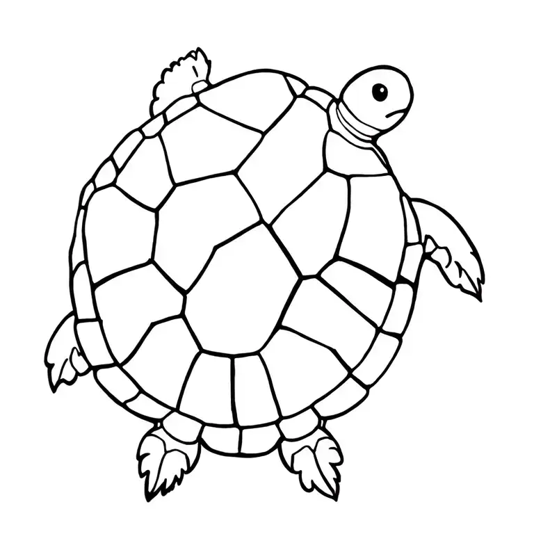 Turtle