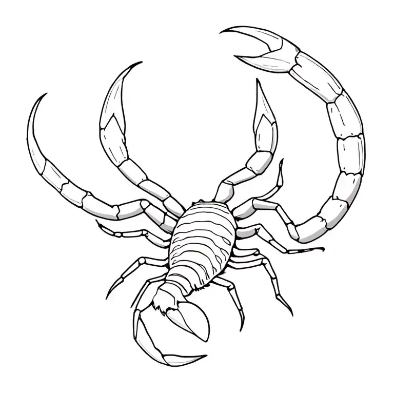 Scorpion With A Tail
