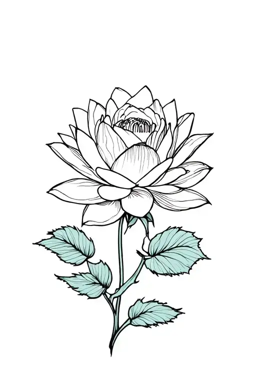 Water Lily And Rose