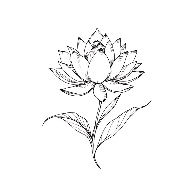 Lotus Flower And Pauline