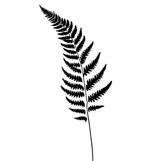 Fern Plant