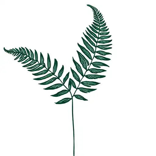 Fine Line Full Fern Plant