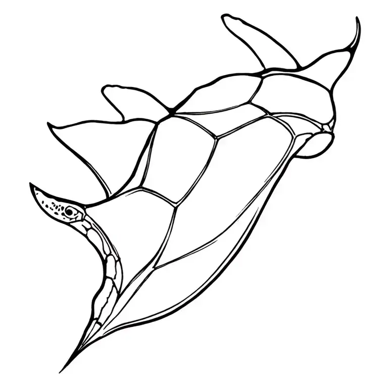 Sea Turtle Manta Ray Gracefully Swimming