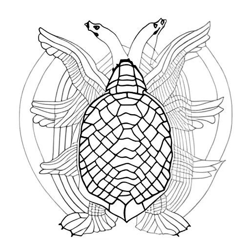 Half Of A Guitar Half Of A Turtle