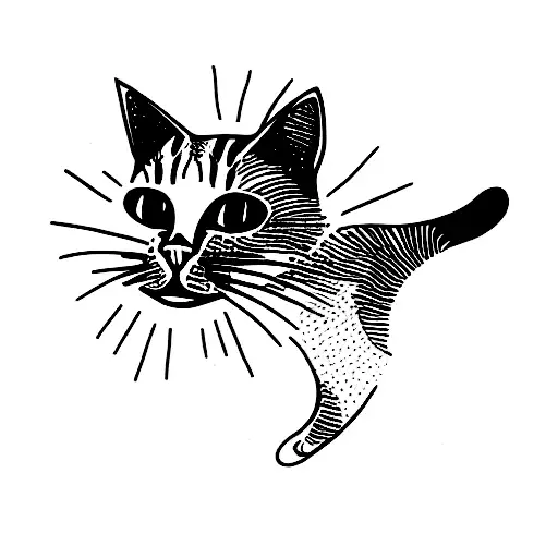 Cat In Space Hallucination