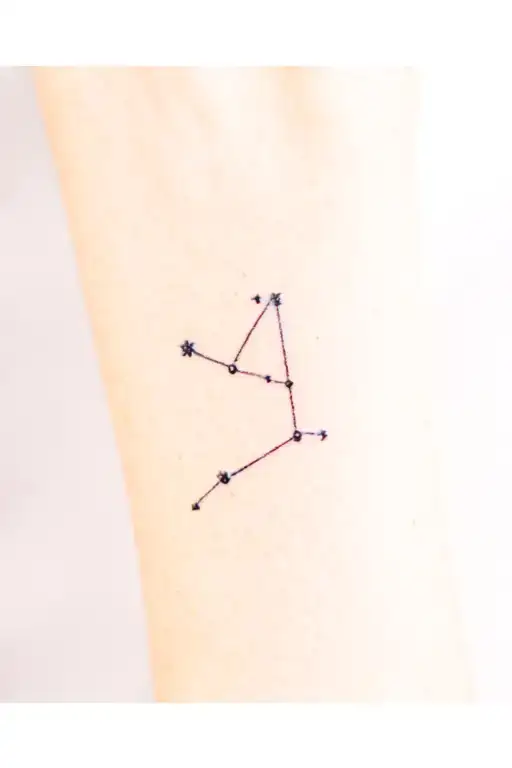 Leo Constellation