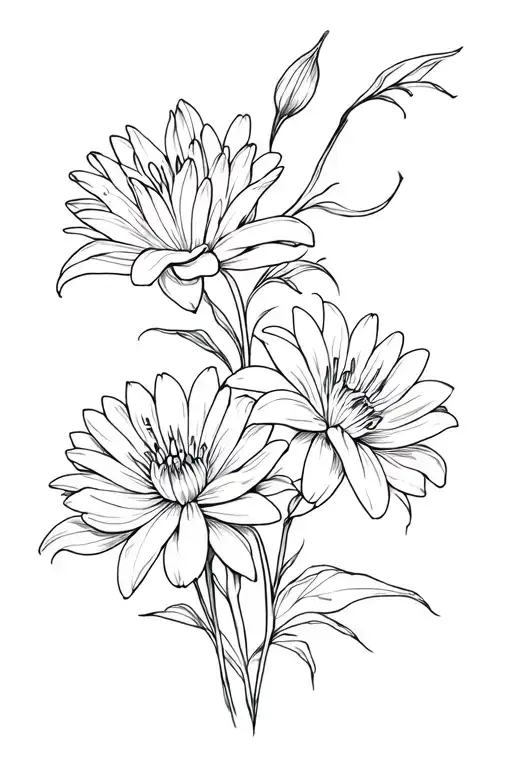 Chrysanthemum And Lily Flowers