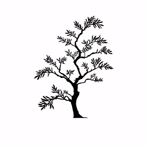 Olive Tree Silhouette