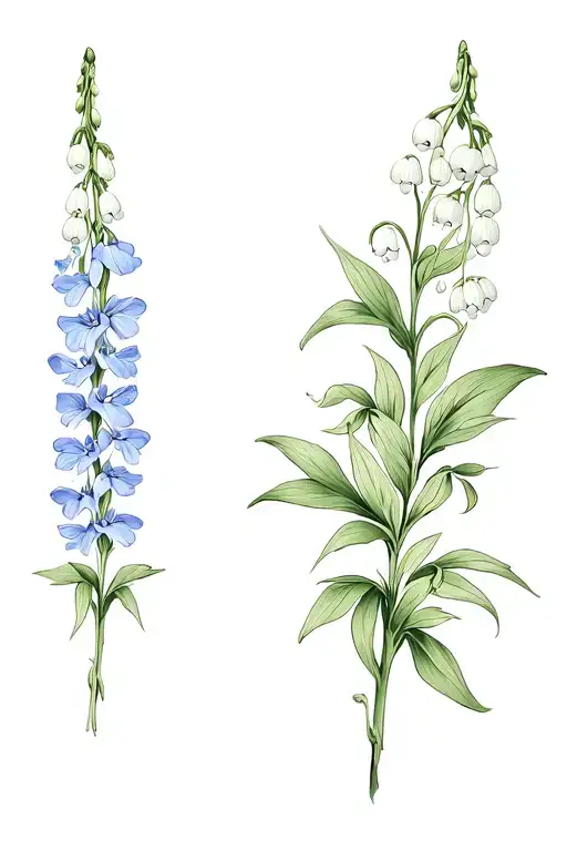 Delphinium And Lily Of The Valley Flower