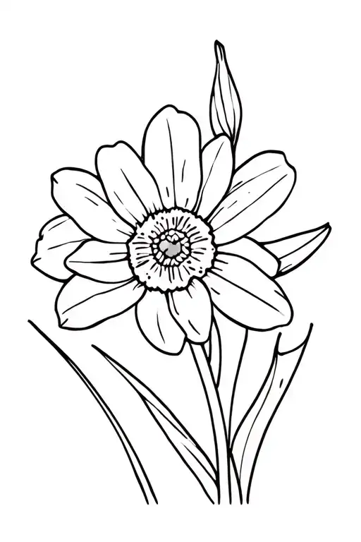 Daffodil Gladiolus Daisy Flower