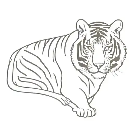 Tiger And Lines On The Arm And Collarbone And Chest