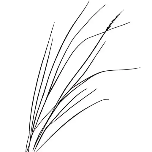 Dune Grass