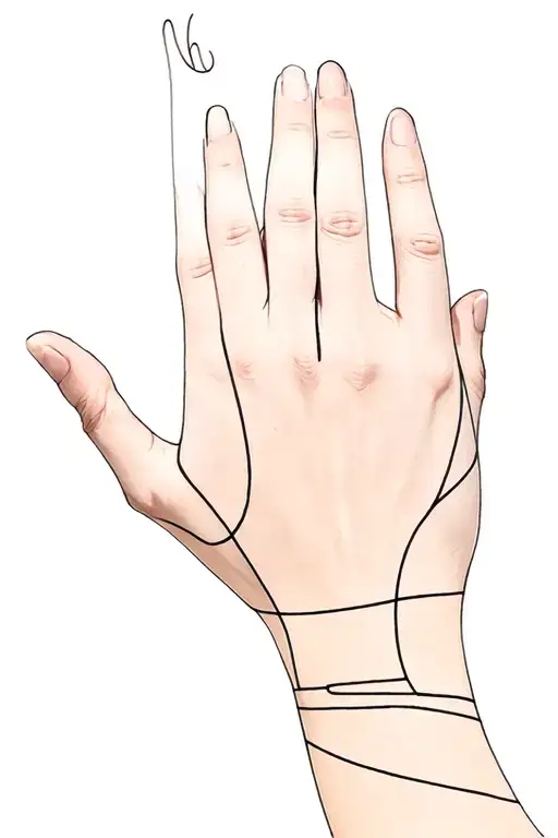 Hands